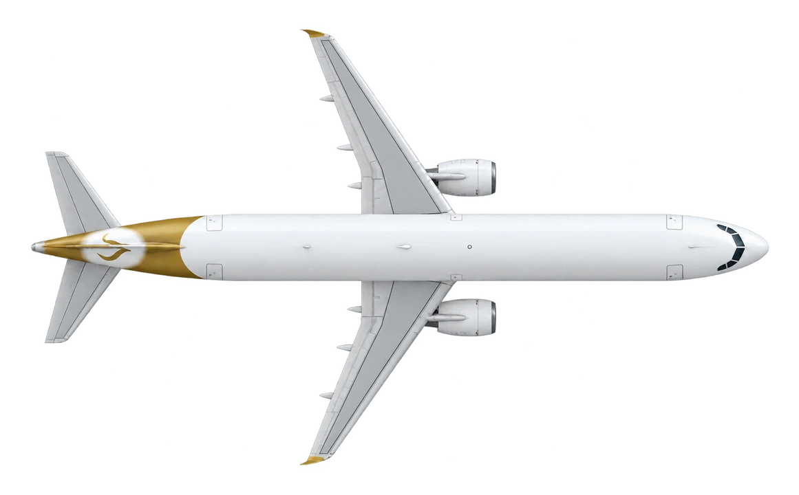 Airbus A320 in Freebird Airlines livery, top view