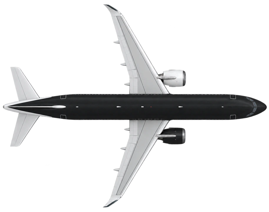 Airbus A320neo in StarFlyer livery, top view