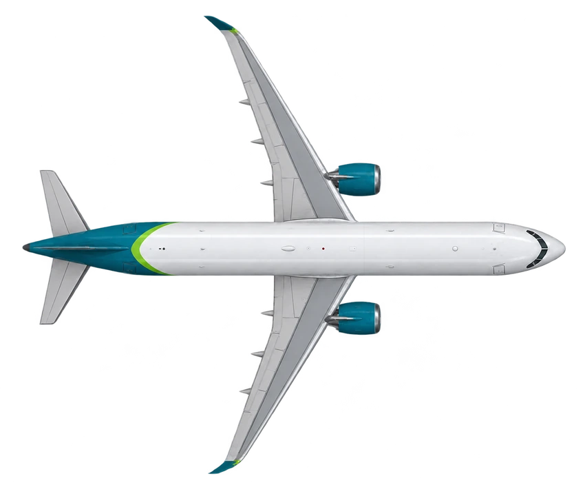 Airbus A321neo in Aer Lingus livery, top view