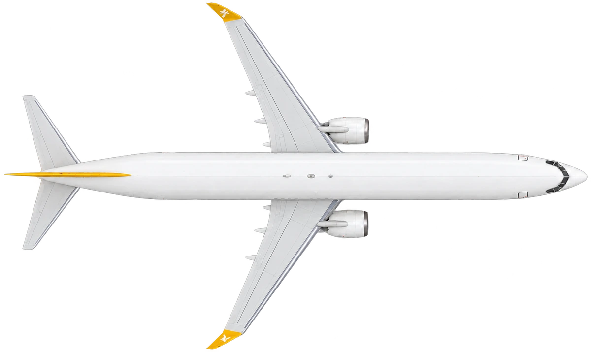 Boeing 737-800 in Pegasus Airlines livery, top view