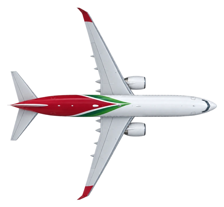 Boeing 737-800 in Royal Air Maroc livery, top view