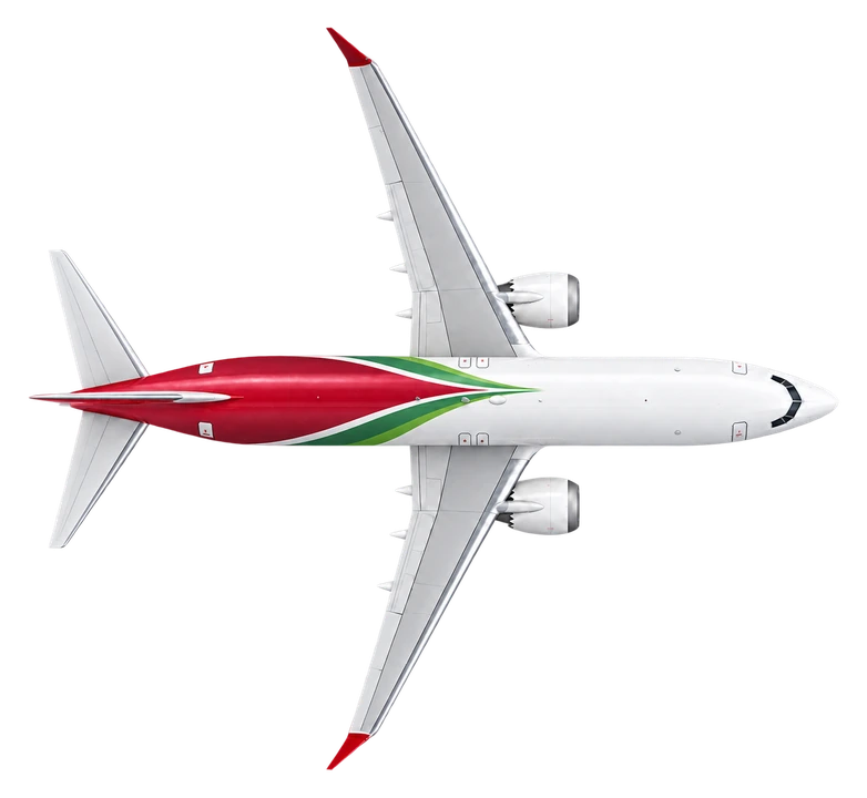 Boeing 737 MAX 8 in Royal Air Maroc livery, top view