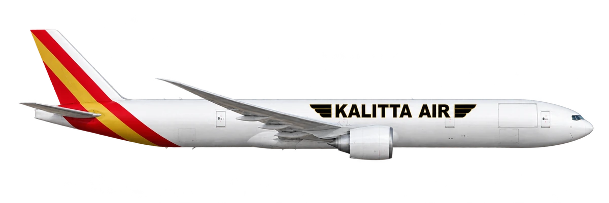 Boeing 777-300ER in Kalitta Air livery, side profile