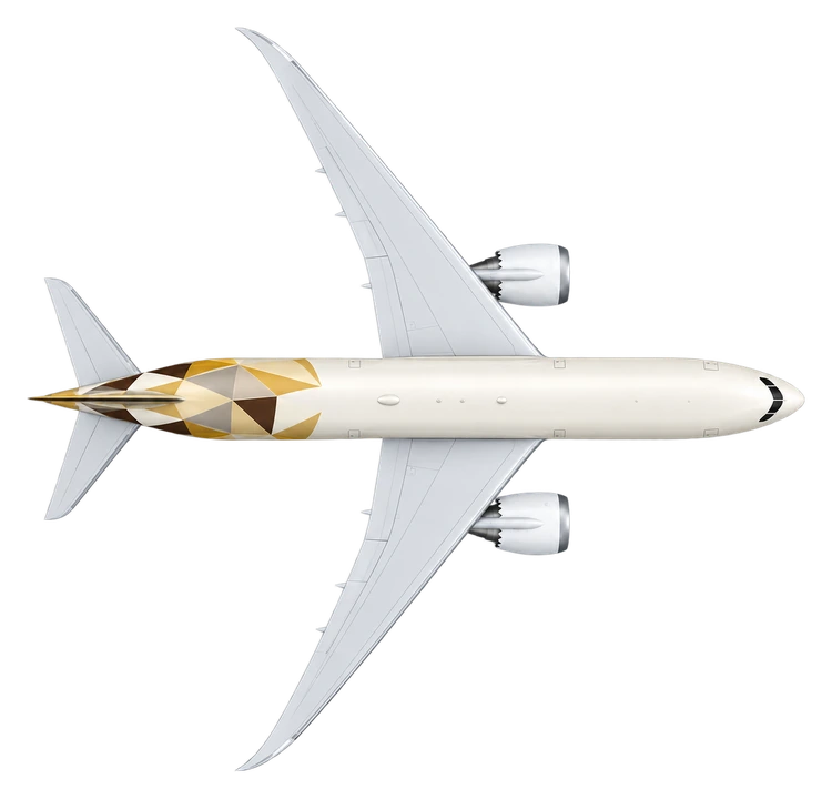 Boeing 787-9 Dreamliner in Etihad Airways livery, top view