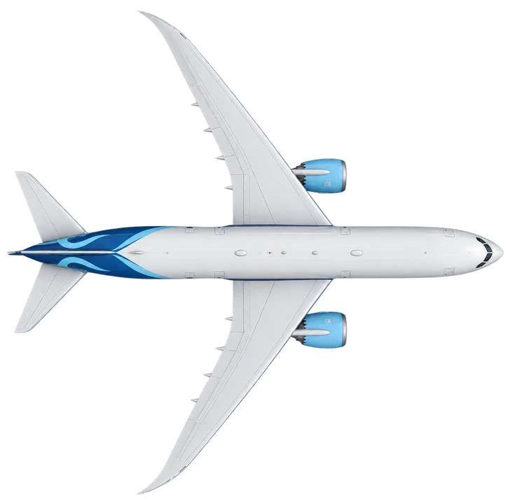 Boeing 787-9 Dreamliner in IndiGo livery, top view