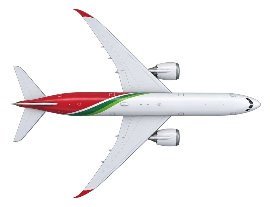 Boeing 787-9 Dreamliner in Royal Air Maroc livery, top view