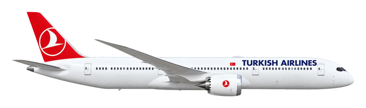 Boeing 787-9 Dreamliner in Turkish Airlines livery, side profile