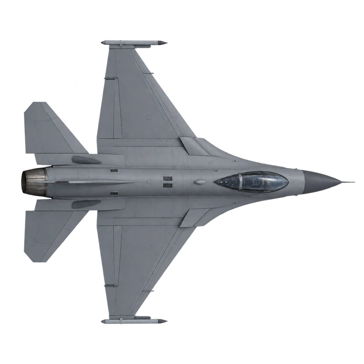 Mitsubishi F-2A, top view